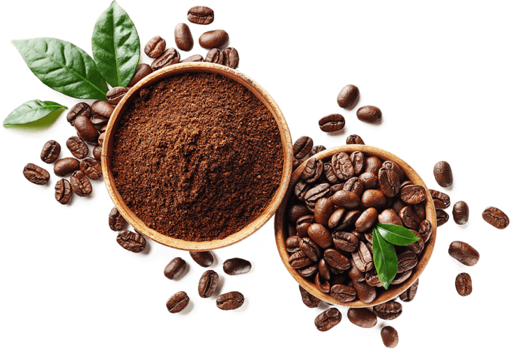 Photo of a specialty coffee beans in a coffee bean scouper. Some of the coffee beans are out of the scouper and heading towards the text area to the left.