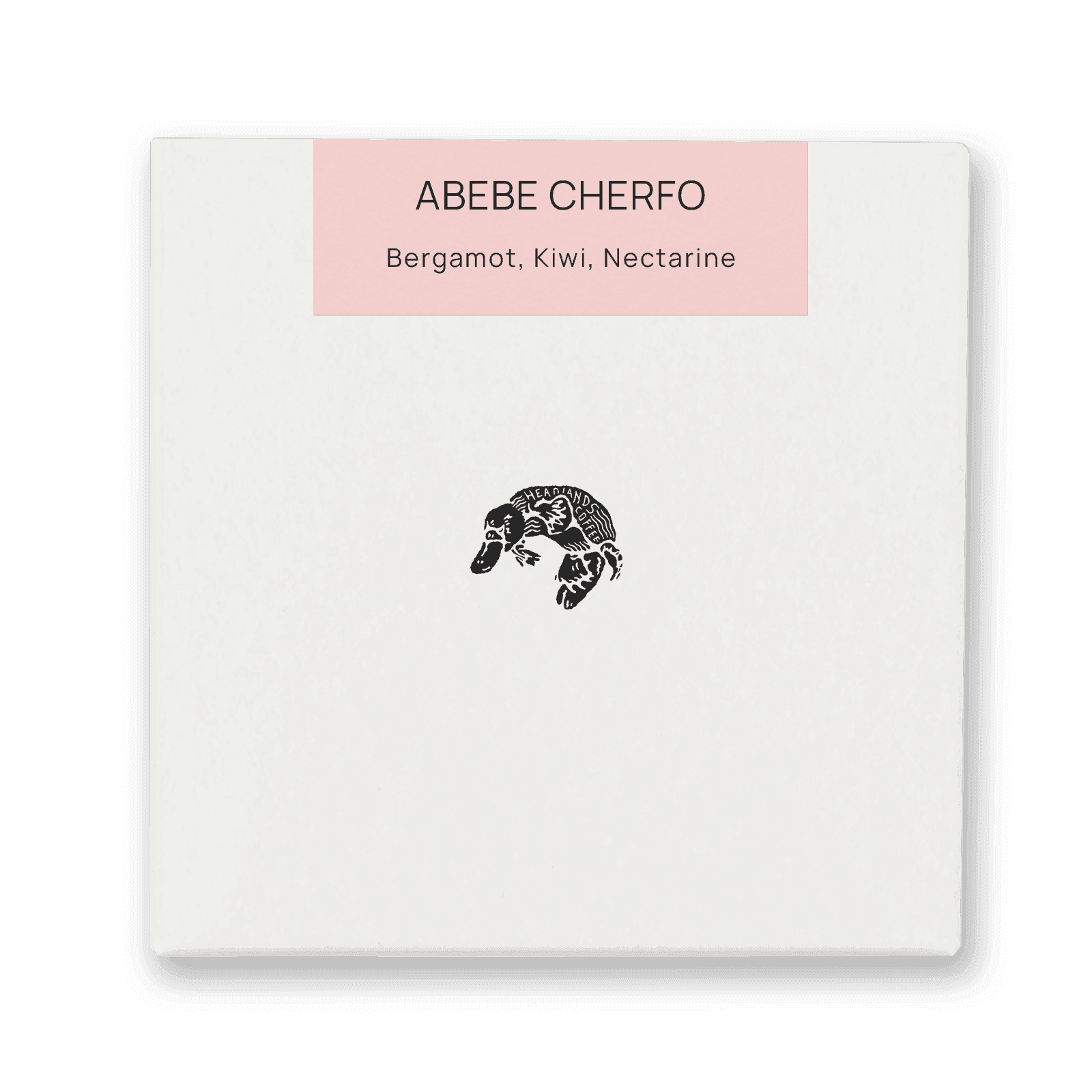 Ethiopia Abebe Cherfo Kurume Washed