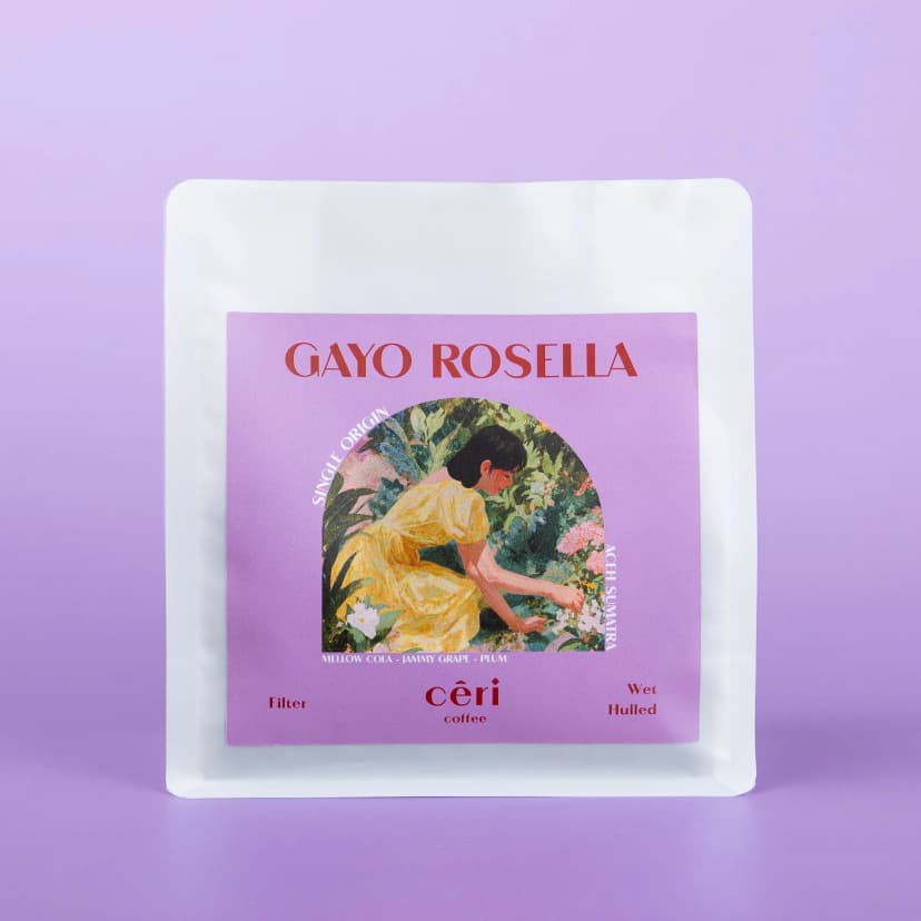Gayo Rosella - Filter