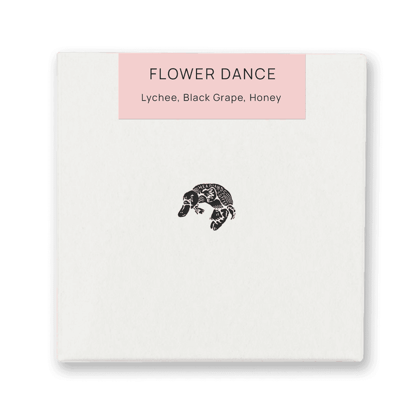 Flower Dance | Special Blend