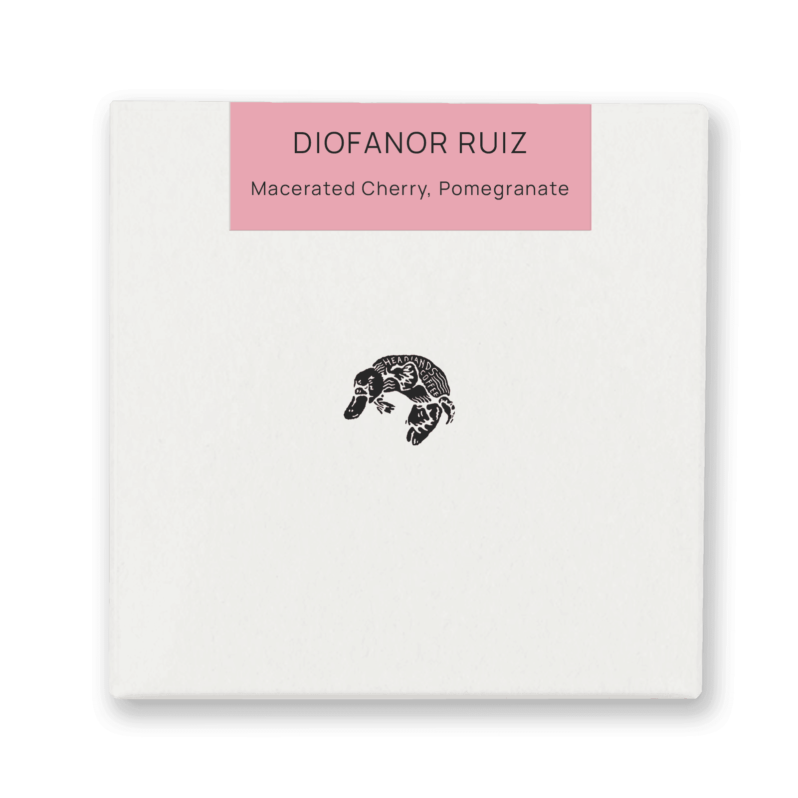 Colombia Diofanor Ruiz Tabi Natural